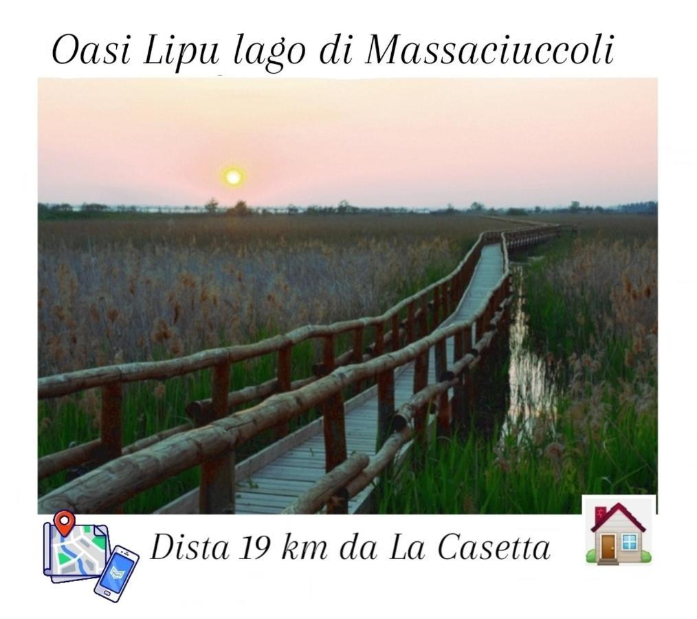 La Casetta Camaiore Bagian luar foto